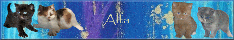 Alfa