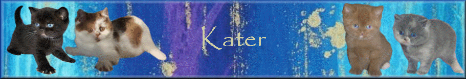 Kater