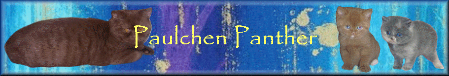 Paulchen Panther
