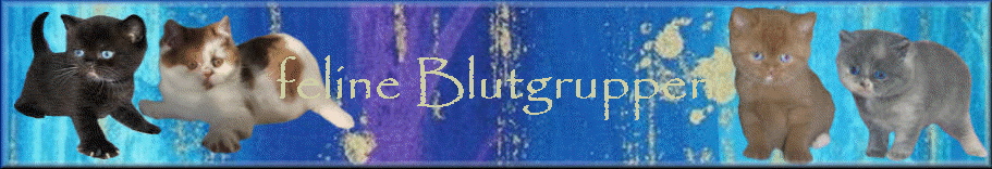 feline Blutgruppen