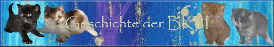 Geschichte der BKH