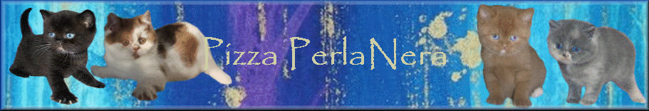 Pizza PerlaNera