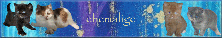 ehemalige