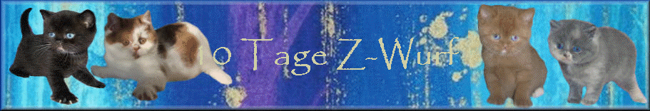 10 Tage Z-Wurf