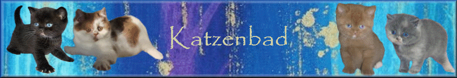 Katzenbad