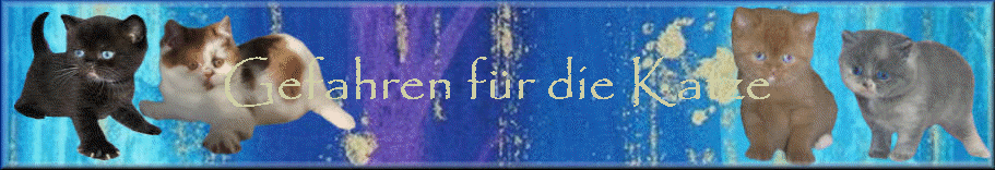 Gefahren f�r die Katze