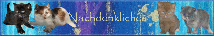 Nachdenkliches