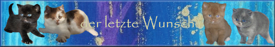 der letzte Wunsch