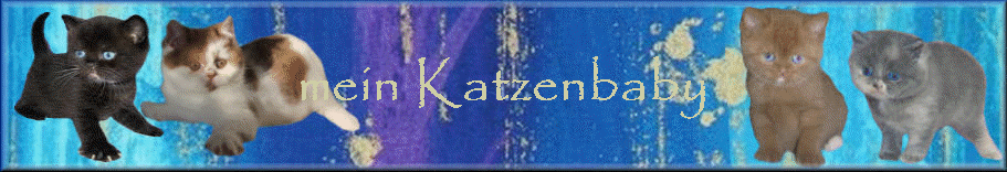 mein Katzenbaby